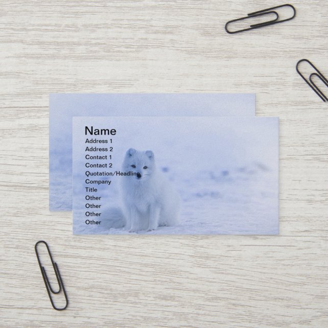 Iceland Arctic Fox Business Card (Front/Back In Situ)