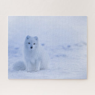 Iceland Arctic Fox Jigsaw Puzzle