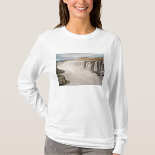 Iceland, Jokulsargljufur National Park. View of T-Shirt