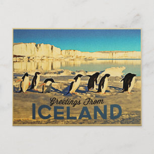 Iceland Penguins Postcard