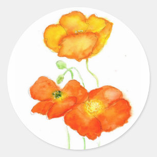 Iceland Poppies Stickers