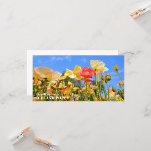 Iceland Poppy Card