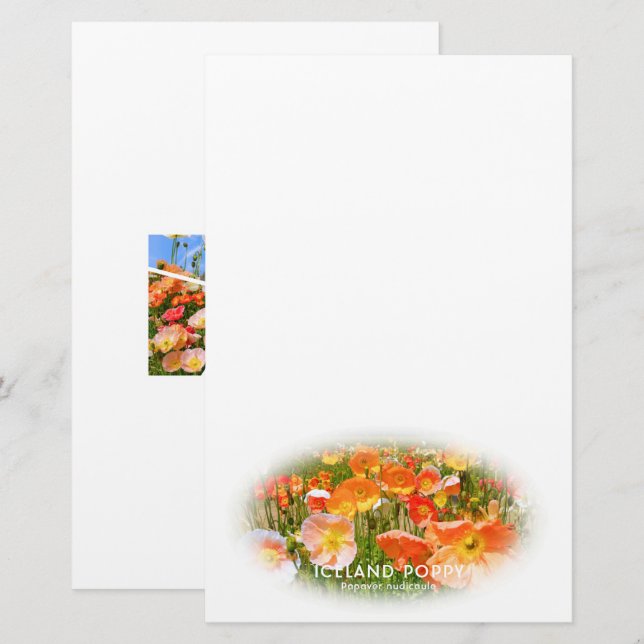 Iceland Poppy Stationery (Front/Back)
