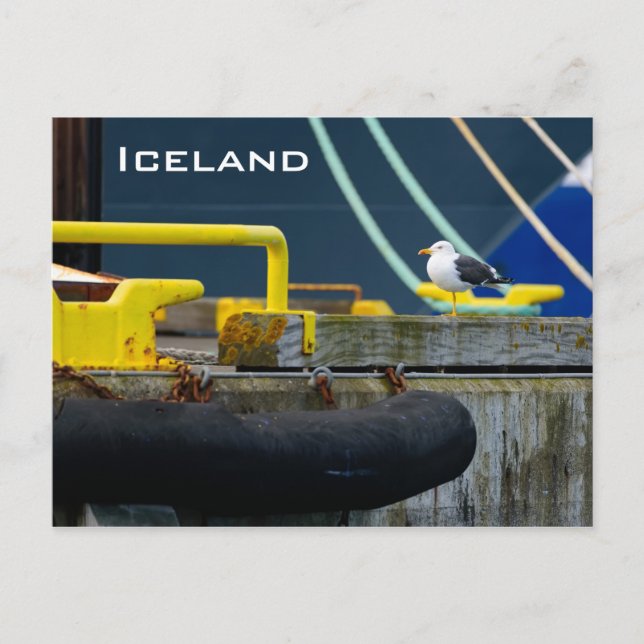 Iceland postcard (Front)