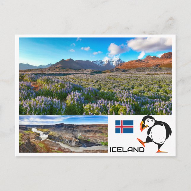 Iceland Postcard (Front)