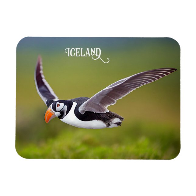 Iceland Puffin Magnet (Horizontal)