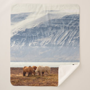 ICELAND SHERPA BLANKET