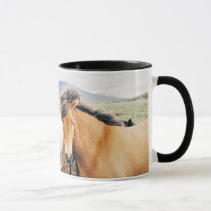Iceland three colour horses mug