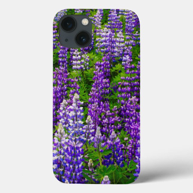 Iceland Vik i Myrdal. Field of Lupines Case-Mate iPhone Case (Back)