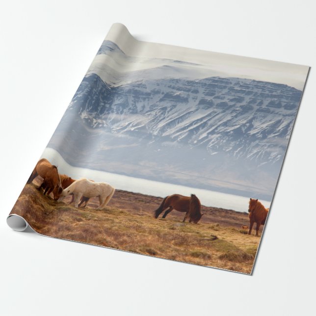 ICELAND WRAPPING PAPER (Unrolled)
