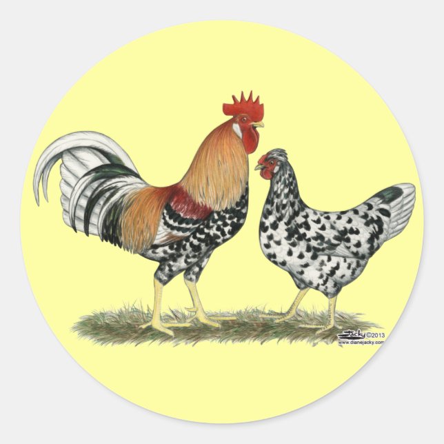 Icelandic Chickens Classic Round Sticker (Front)