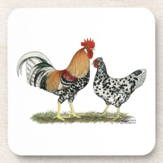 Icelandic Chickens Coaster