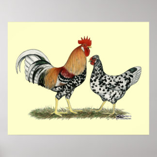 Icelandic Chickens Poster