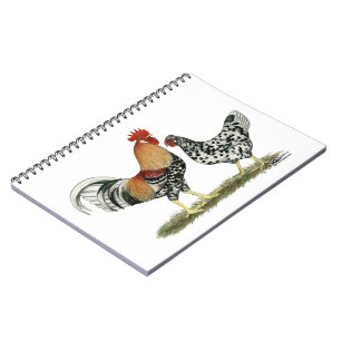 Icelandic Chickens Spiral Notebook