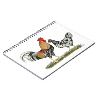 Icelandic Chickens Spiral Notebook