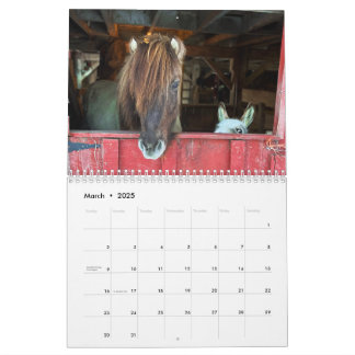 Icelandic Horse and Mini Donkey Calendar