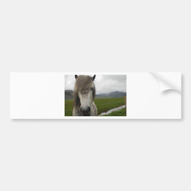 Icelandic Horse Bumper Sticker (Front)