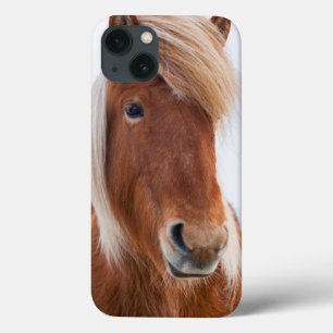 Icelandic Horse during winter  2 iPhone 13 Case