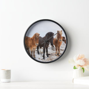 Icelandic Horse During Winter Iceland Clock