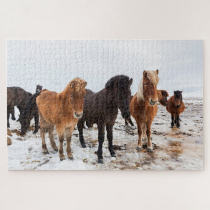 Icelandic Horse During Winter Iceland Jigsaw Puzzle
