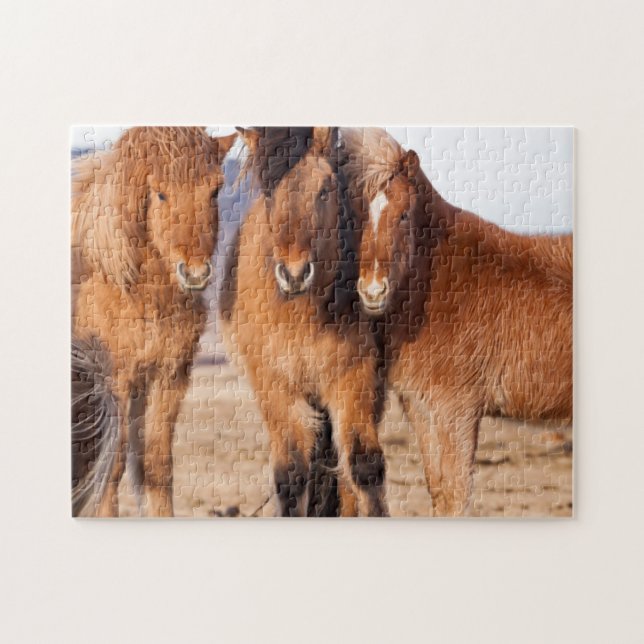 Icelandic Horse during winter Jigsaw Puzzle (Horizontal)
