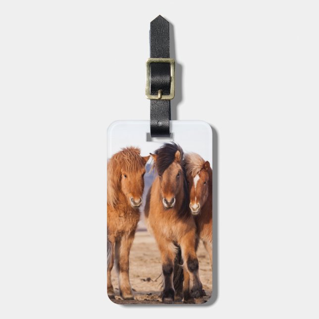 Icelandic Horse during winter Luggage Tag (Front Vertical)