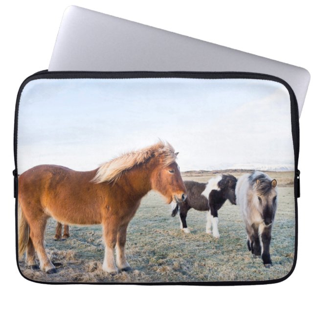 Icelandic Horse During Winter on Iceland Laptop Sleeve (Front)