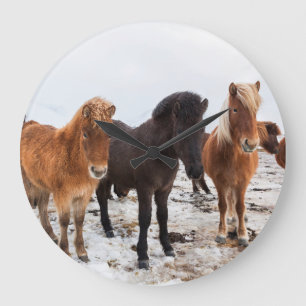Icelandic Horse during winter on Iceland Large Clock