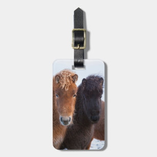 Icelandic Horse during winter on Iceland Luggage Tag