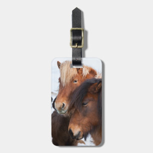 Icelandic Horse during winter on Iceland Luggage Tag