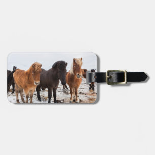 Icelandic Horse during winter on Iceland Luggage Tag