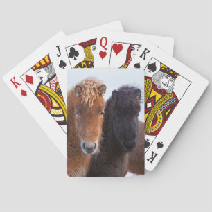 Icelandic Horse during winter on Iceland Playing Cards