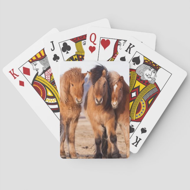 Icelandic Horse during winter Playing Cards (Back)