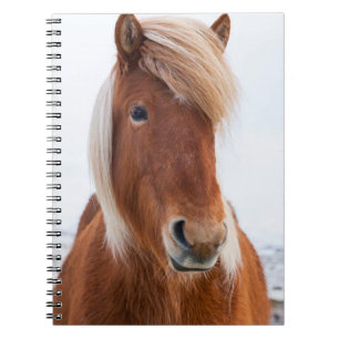 Icelandic Horse during winter Spiral Notebook