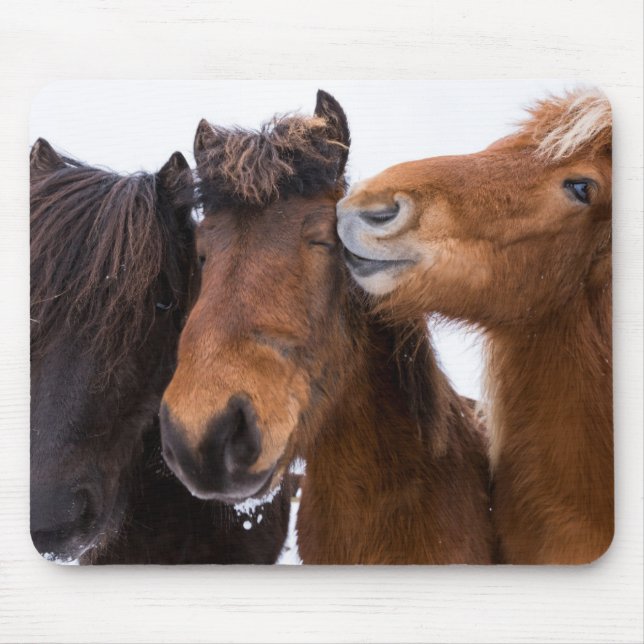 Icelandic Horse friends, Iceland Mouse Pad (Front)