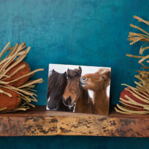 Icelandic Horse Friends, Iceland Plaque