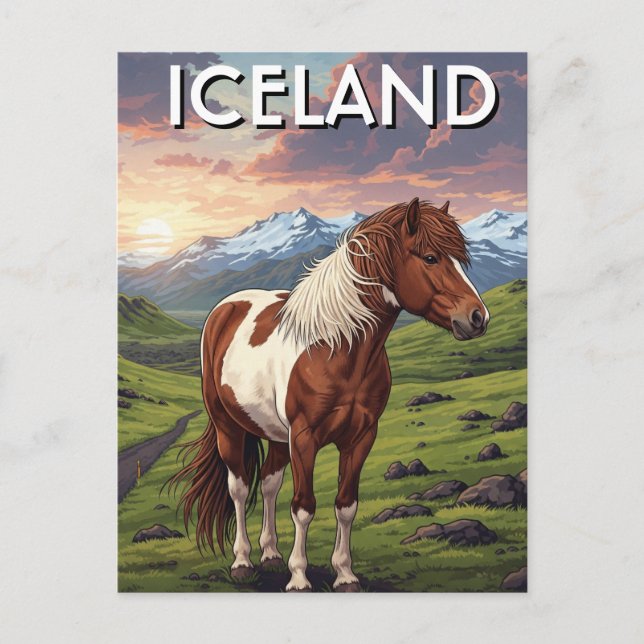 Icelandic Horse in Iceland Travel Postcard (Front)