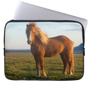 Icelandic Horse in Sunset Light Laptop Sleeve