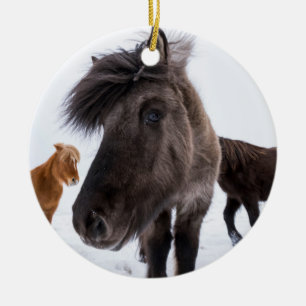 Icelandic Horse portrait, Iceland Ceramic Tree Decoration