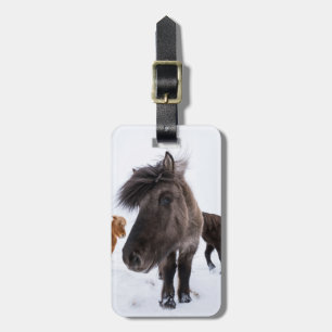 Icelandic Horse portrait, Iceland Luggage Tag