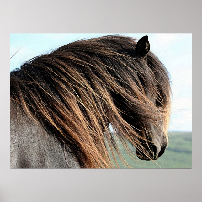 Icelandic Horse Portrait Poster Print (Front)
