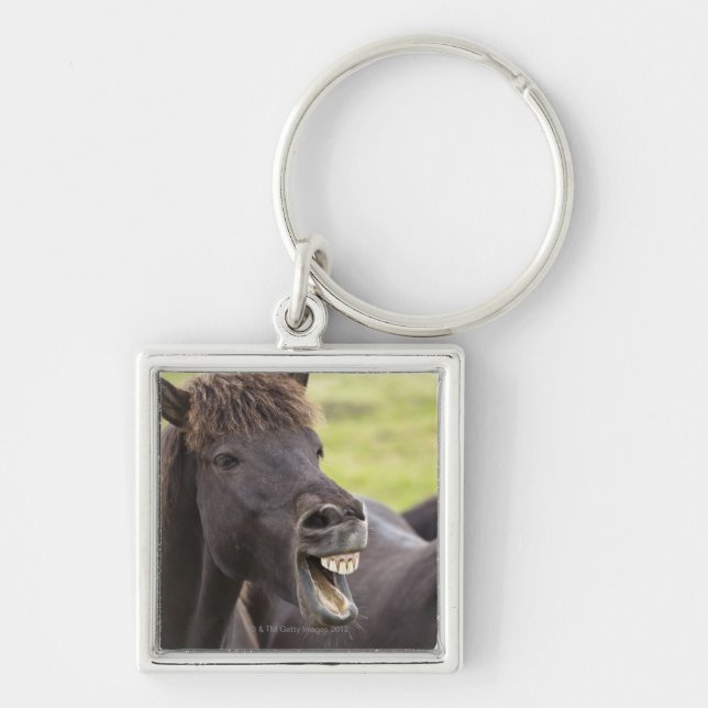 Icelandic horse with funny expression key ring (Front)