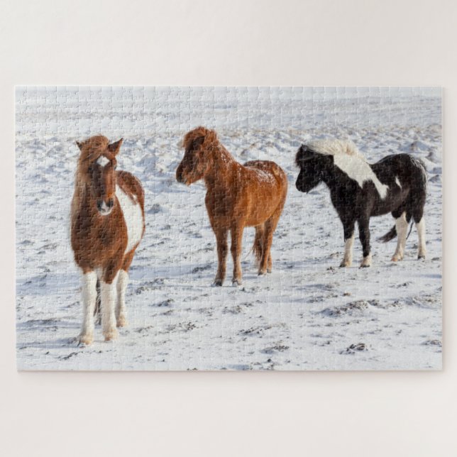 Icelandic Horse with Typical Winter Coat Jigsaw Puzzle (Horizontal)