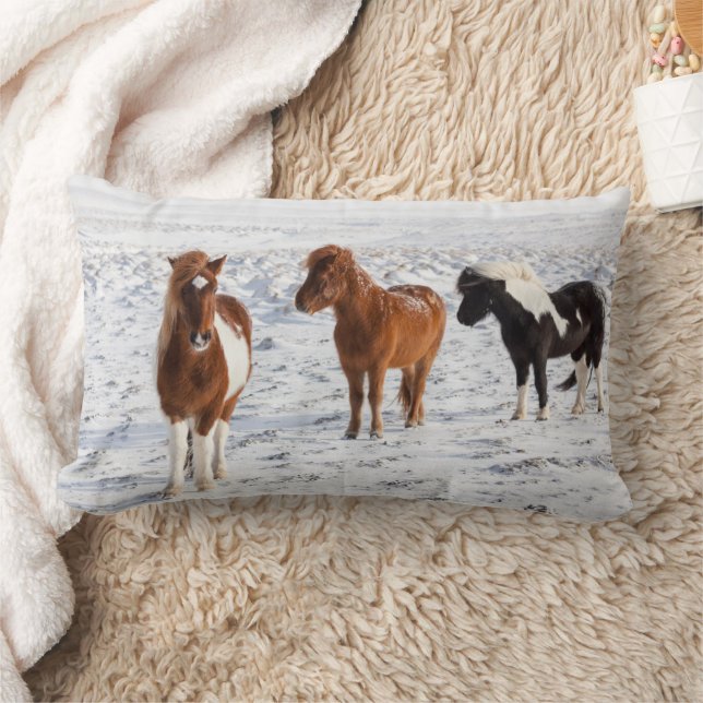 Icelandic Horse with Typical Winter Coat Lumbar Cushion (Blanket)