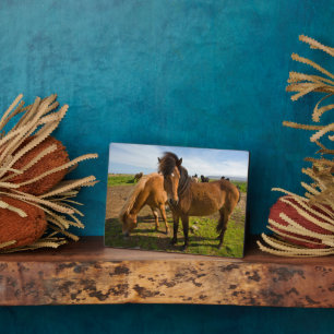Icelandic Horses Graze Plaque