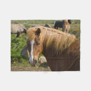 Icelandic Horses in Northeastern Iceland Fleece Blanket