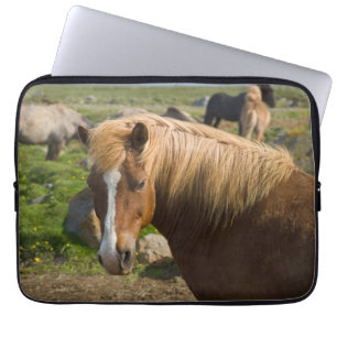 Icelandic Horses in Northeastern Iceland Laptop Sleeve