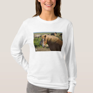 Icelandic Horses in northeastern Iceland. T-Shirt