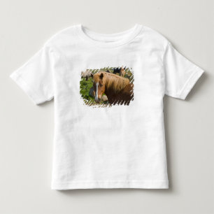 Icelandic Horses in northeastern Iceland. Toddler T-Shirt
