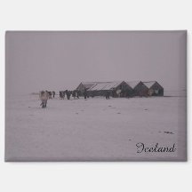 Icelandic horses in the snow magnet